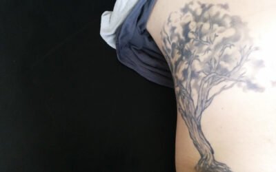 The Universe Project – Research Showings